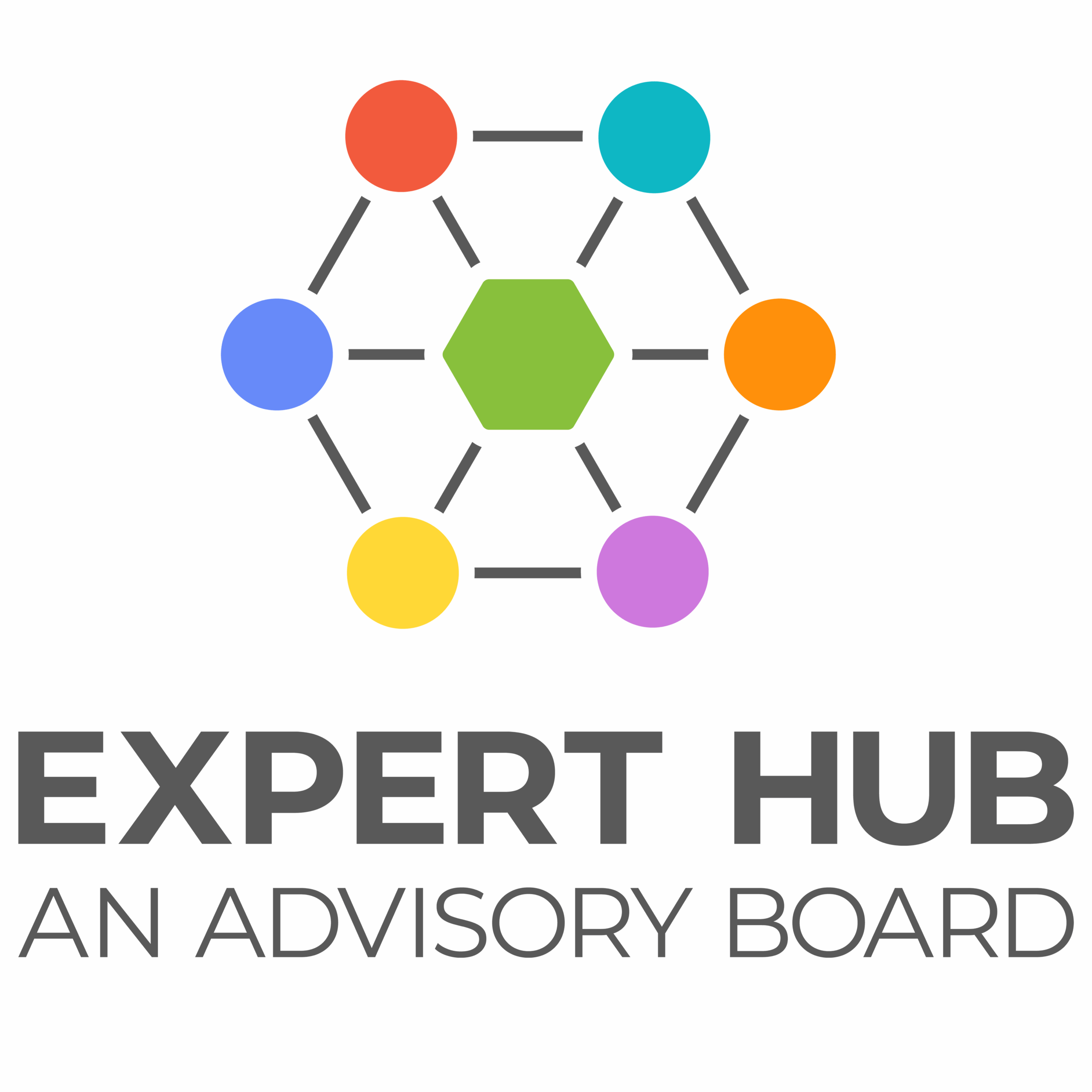 Expert Hub. An Advisory Board
